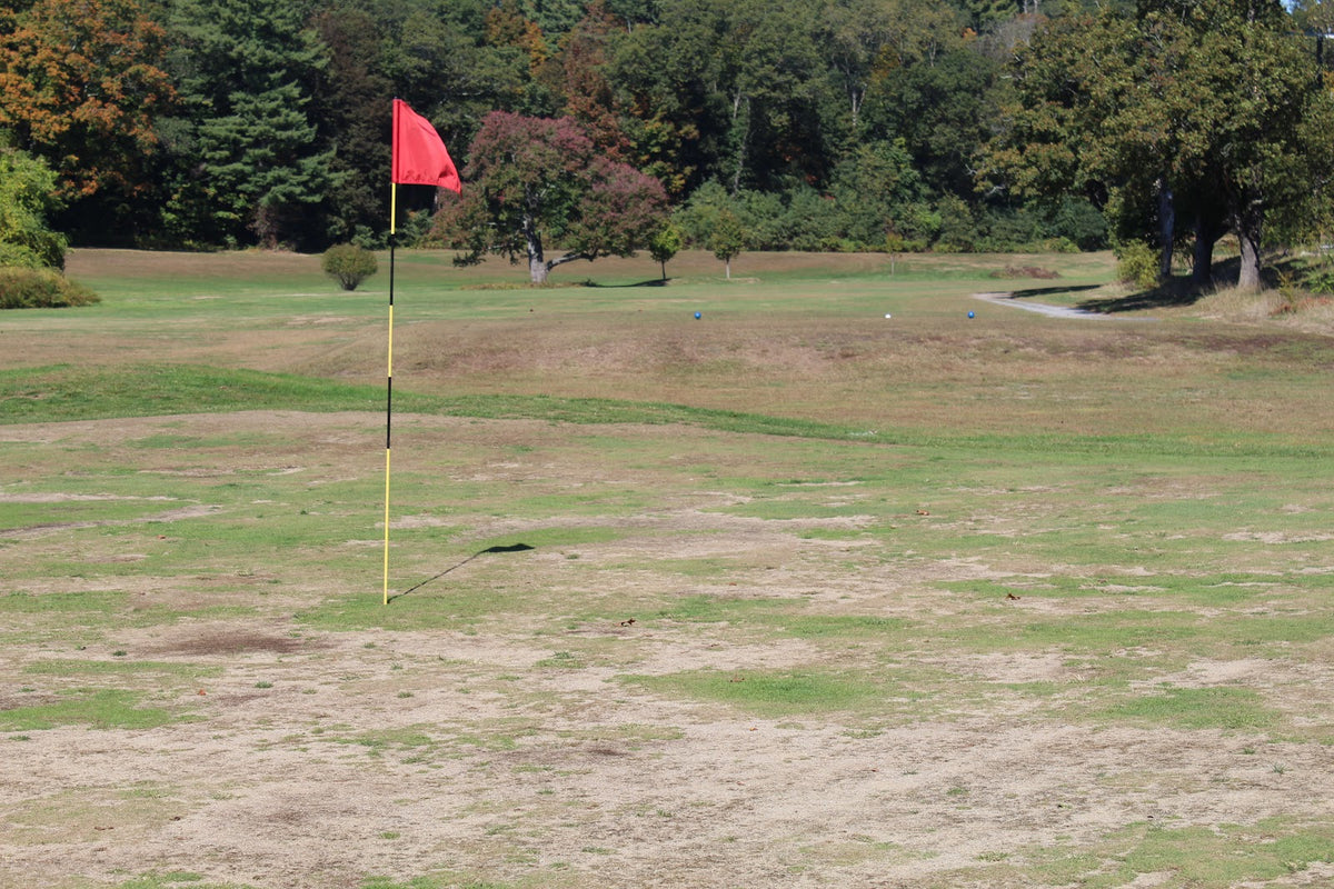 A day at a course he had mentioned once